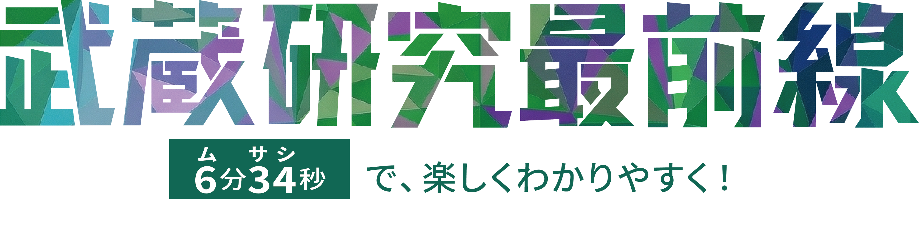 武蔵研究最前線 ロゴ